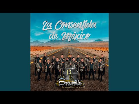 Cariñito de Mi Vida