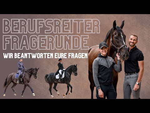 BERUF PFERDEWIRT- eure Fragen zu dem Thema Berufsreiter