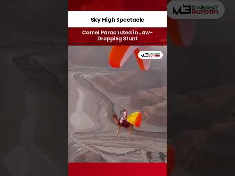 Flying Camel Video Goes Viral: Real or AI?