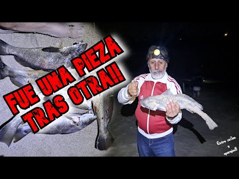 FUE UNA PIEZA TRAS OTRA‼️ Pasó algo de no creer😮/Las Toscas,Canelones,Uruguay/Entre cañas y aparejos