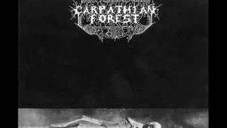Carpathian Forest -  Ancient Spirit of the Underworld