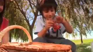 publicidad "Discovery Kids   Picnic" RENZO MASSA