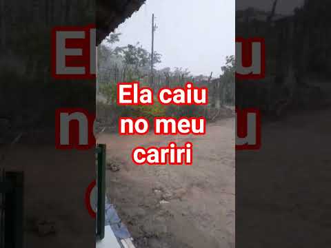 novo cruzeiro minas gerais chuva boa #minasgerais  #chuva #shorts #sitio