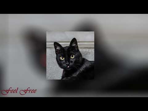 𝘀𝗽𝗲𝗲𝗱 𝘂𝗽/𝗻𝗶𝗴𝗵𝘁𝗰𝗼𝗿𝗲 𝘁𝗶𝗸𝘁𝗼𝗸 𝗮𝘂𝗱𝗶𝗼𝘀 ♡ (𝗽𝗮𝗿𝘁 63)