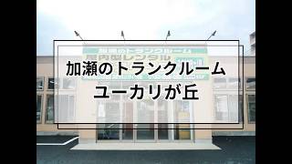 YouTube動画