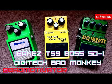 Tubescreamer-type Shootout!