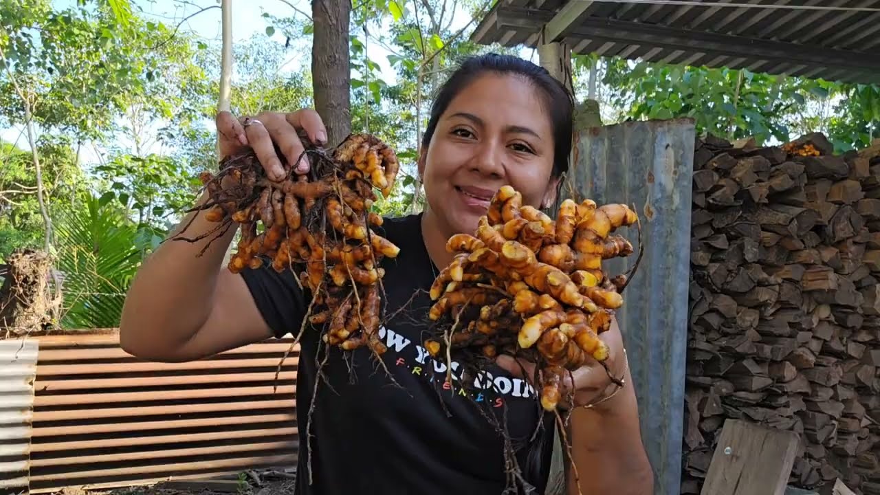 LES MUESTRO LA COSECHA DE MI MAMÁ 