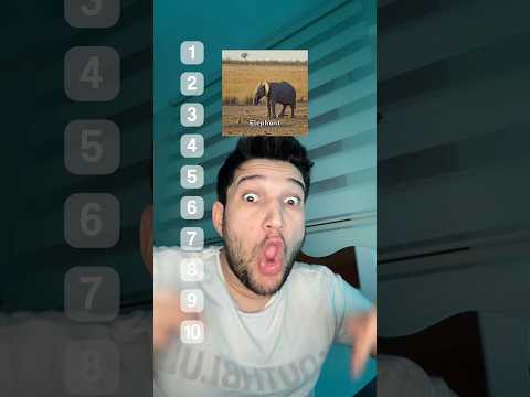 Açlıktan ölmek üzereyken hangi hayvan yenir