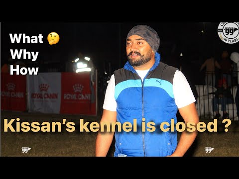 What kissan’s kennel is close?
