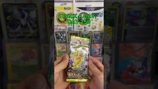 1 PACK A DAY:  DAY 250 #pokemon #packopenning #onepackadaychallenge #pokemoncards