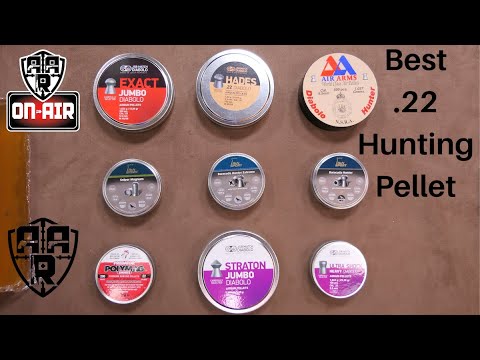Best .22 Hunting Pellet
