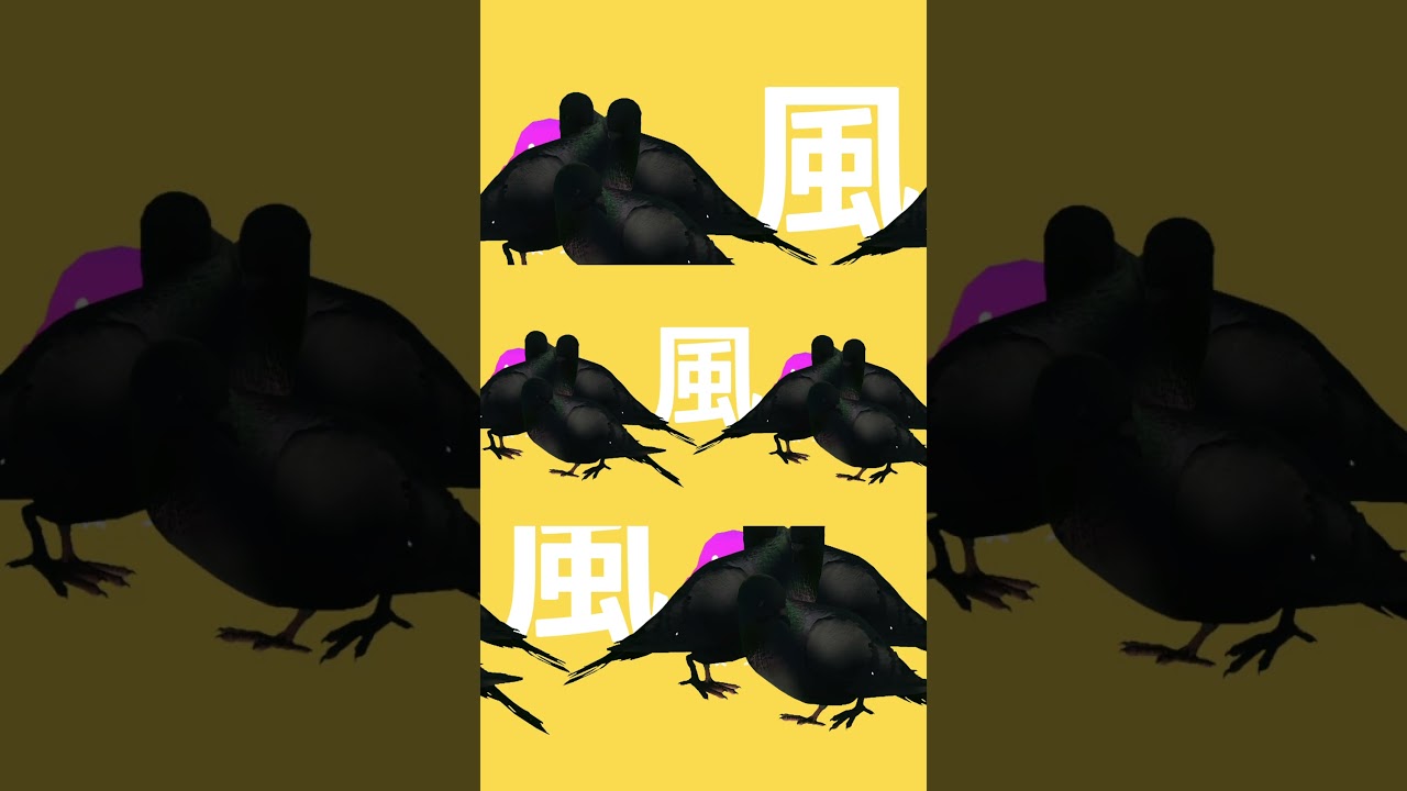 強風オールバック　#vrchat #shorts #強風オールバック