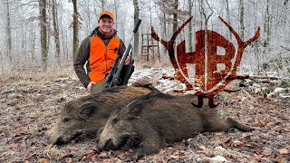 Sauen auf der Drückjagd! - Hunter Brothers