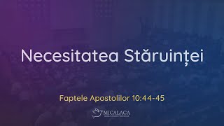 21 Ianuarie 2024 | Duminică seara