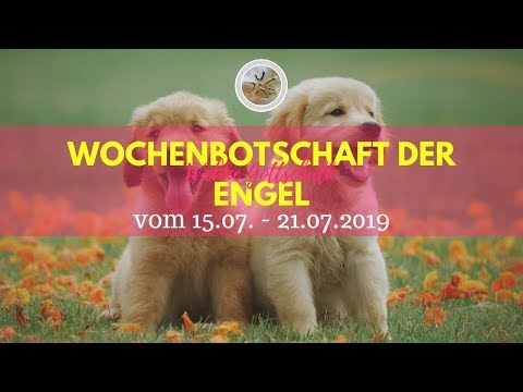 ✨ Wochenbotschaft der Engel vom 15.- 21.07.2019✨