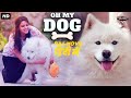 OH MY DOG 2 - Superhit Full Hindi Dubbed Movie | Romantic Movie | Mithun Ramesh, Divya Pillai