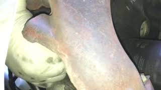 2001 Dodge Ram 2500 5.9 crankshaft sensor location and replacement