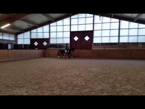 Armani X Sandreo X Contango for sale