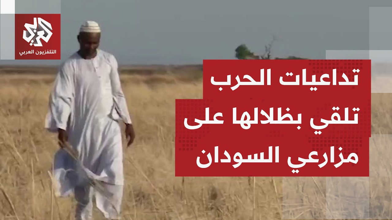 حرب السودان تفرض واقعًا قاسيًا على المزارعين في شمال كردفان وسط محاولات إعاد