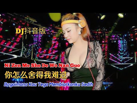 DJ抖音版 - 你怎么舍得我难过 - Ni Zen Me She De Wo Nan Guo - Remix #DJ抖音版2022 #dj抖音版