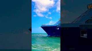 Celebrity SILHOUETTE 🛳️ #like #share #comment #subscribe #cruiseship #cruise #vacation #shorts #wow