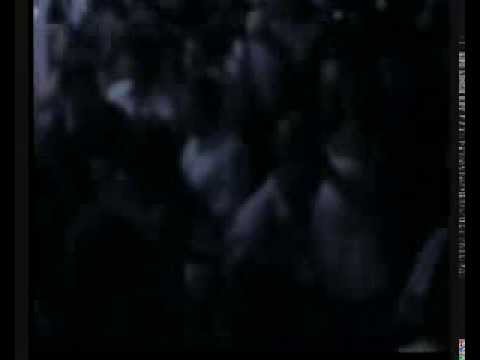 MISS MARY BOCCIA live