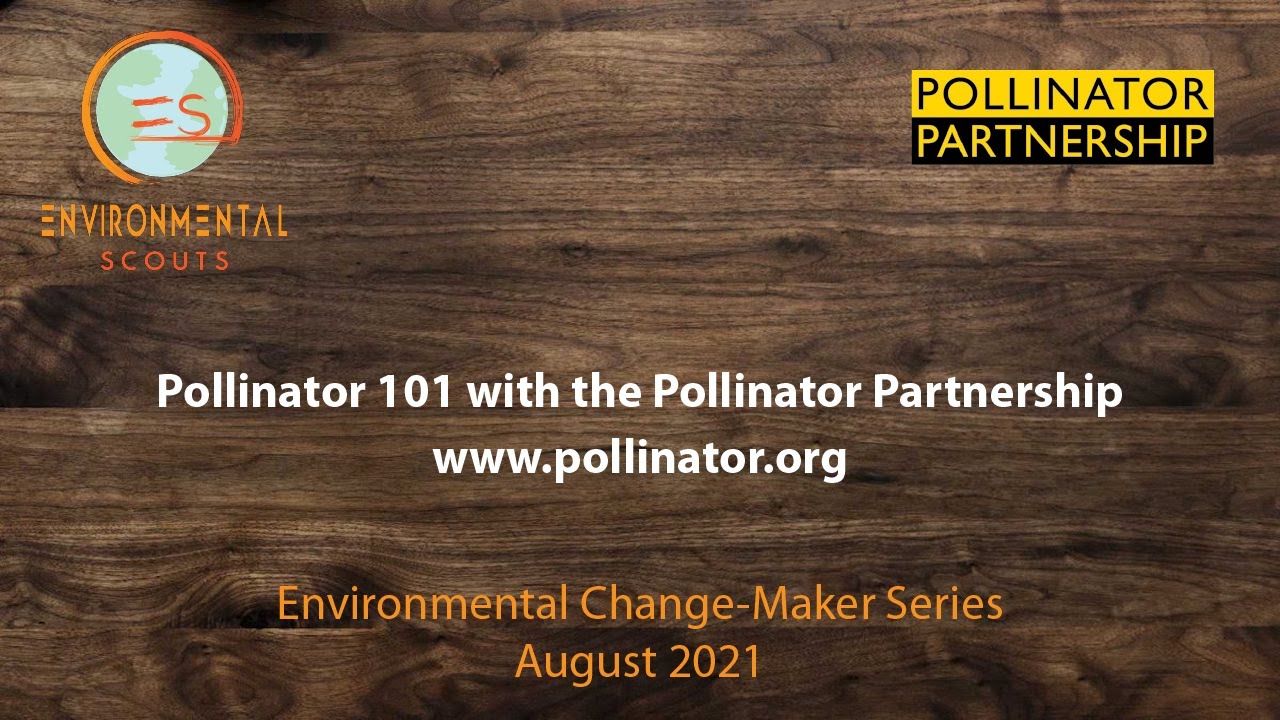 Pollinator 101 with the Pollinator Partnership  | Environmental Change-Maker Series