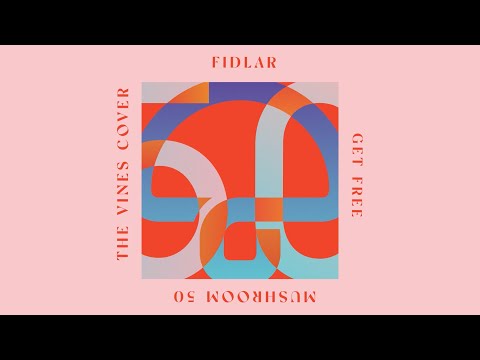 FIDLAR - Get Free (Official Visualiser)