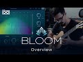 Video 1: Overview