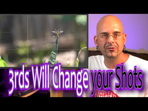 Use 3rds & Grids to Compose Photos - Entry Level Crash Course - Corel Paint Shop Pro #squidshot