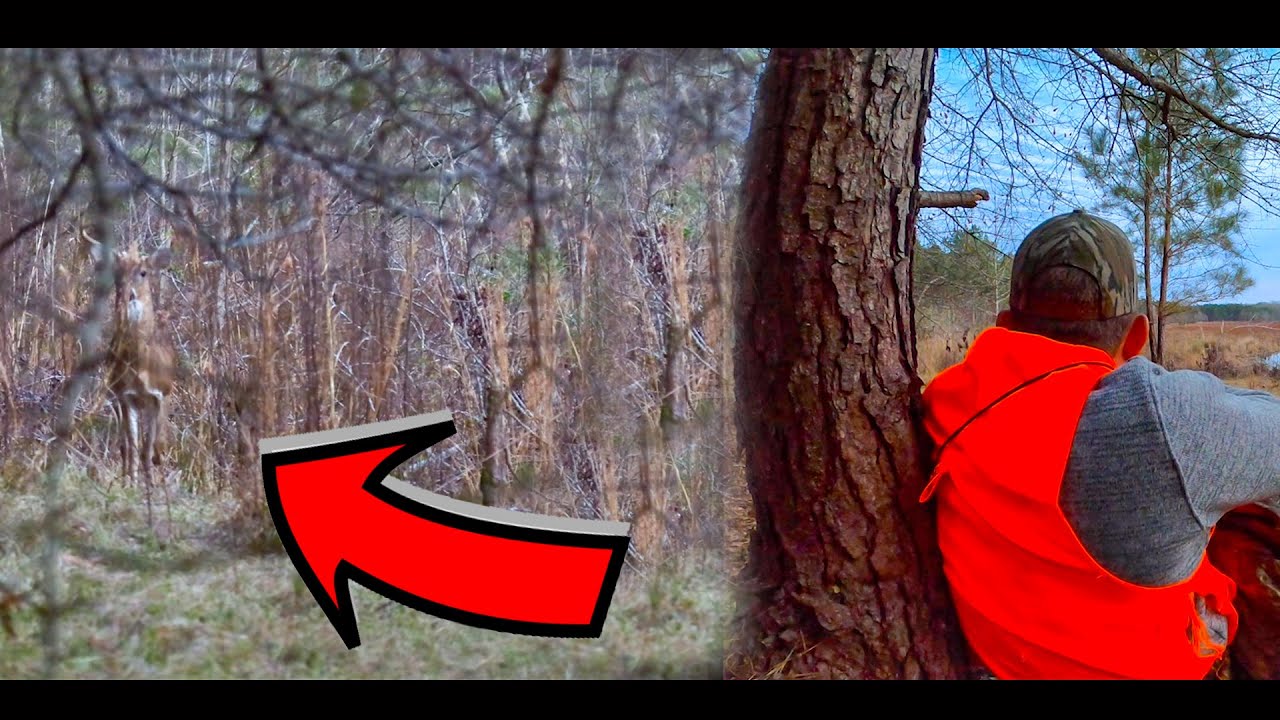The FASTEST and most HUMANE Buck Hunt EVER! Catch Clean Cook Ft. The Hunter Chef