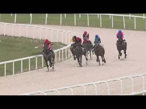 2022.09.25. 02. futam - NÉMETH FERENC EMLÉKKUPA V. FUTAMA HENDIKEP (V.o.) (szintetikus pálya)