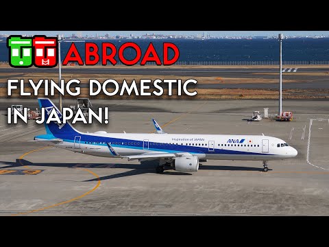 Miniatura YouTube dla ANA Airbus A321