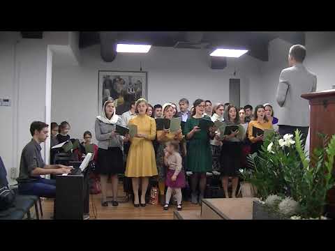 Fiţi tari - video