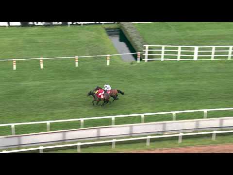 Grand National Day 2014