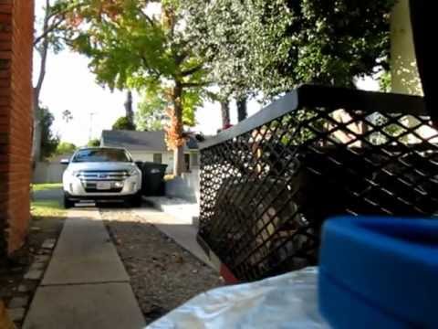 11/05/2011 BBQ Pasadena Pig Parade BBQ