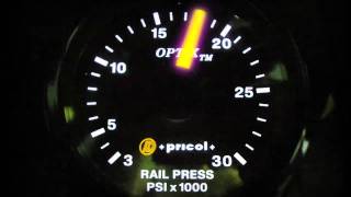 HORSE the Band - Golden Mummy Golden Bird (Skrillex Remix)