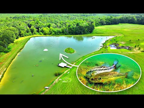 This is Causing a Big Problem at the 5 Acre Pond!