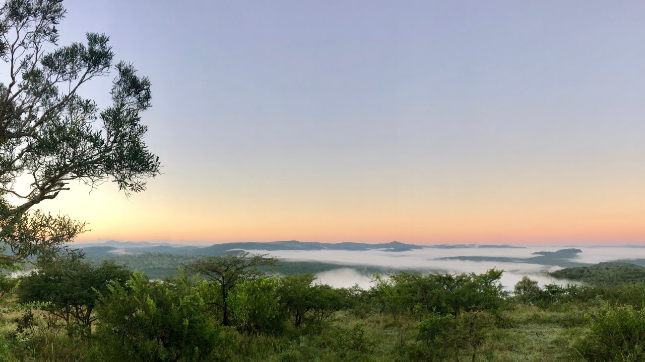 World Environmental Health Day 2020