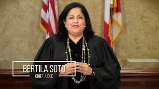 Miami Dade County Court Jury Video and Language Video