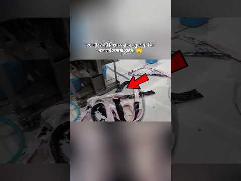 🐋 20 मीटर की व्हेल को कुछ घंटों में काट दिया गया! 😲