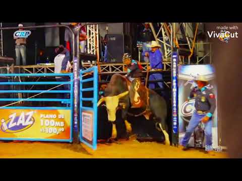 Montarias no touro pirata (PARTE1)