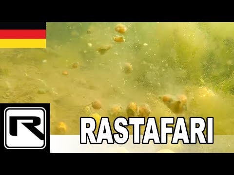 KARPFEN LIEBEN HANF - RASTAFARI BOILIES