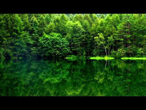 Angel Ace & Oscar L. - Now And Forever (Angel Ace On A Forbidden Planet Remix)