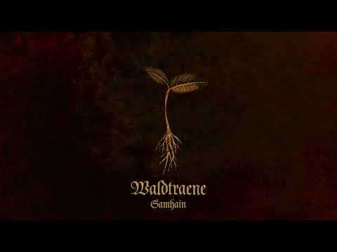 WALDTRAENE - Samhain (Official Audio)