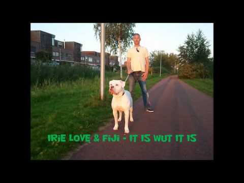 Irie Love & Fiji - It Is Wut It Is     (EZ RIDDIM 2012)