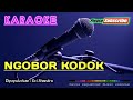 NGOBOR KODOK Evi Shandra KARAOKE