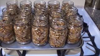 Canning Pecans?