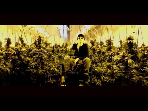 ANDRÜCHA BULLDOZZA - LEON DER PROFI