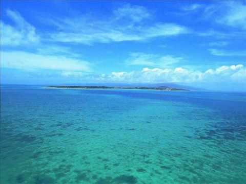 cool´n cat= why waste your time